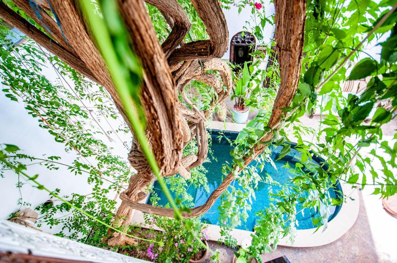 Hotel & Spa Riad Dar El Aila Marrakesch Exterior foto